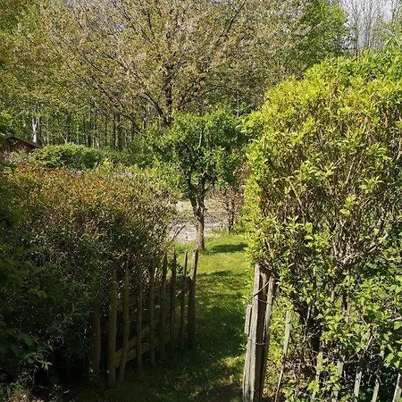 Arche
